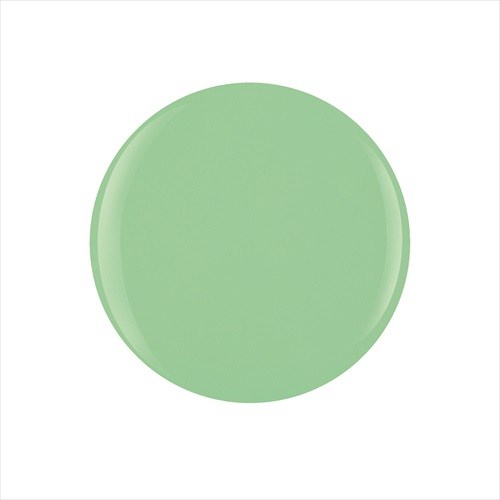 Gelish Dip Mint Chocolate Chip 105g