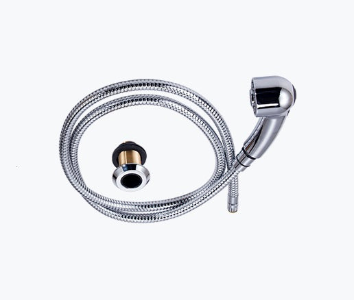 Beauty Plus Ergonomic Dual Spray Shower Head & Hose