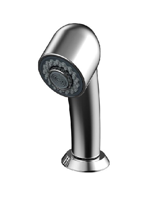 Beauty Plus Ergonomic Dual Spray Shower Head & Hose