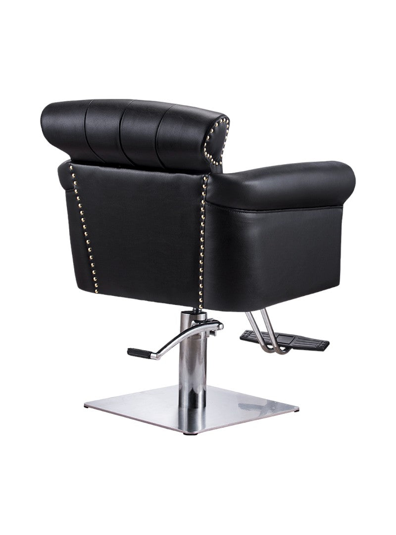 Beauty Plus Thredbo Professional Styling Chair