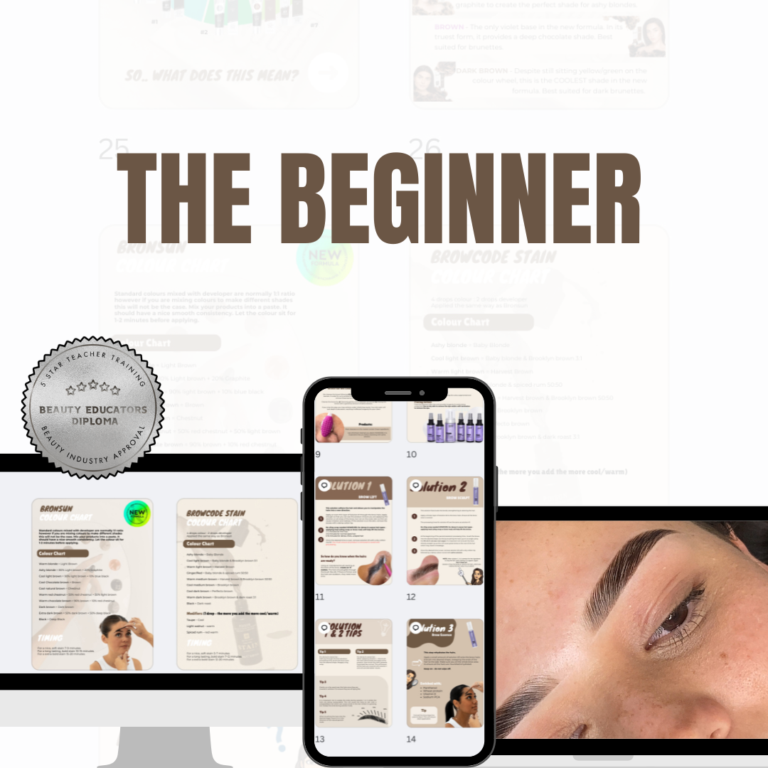 The Beginner
