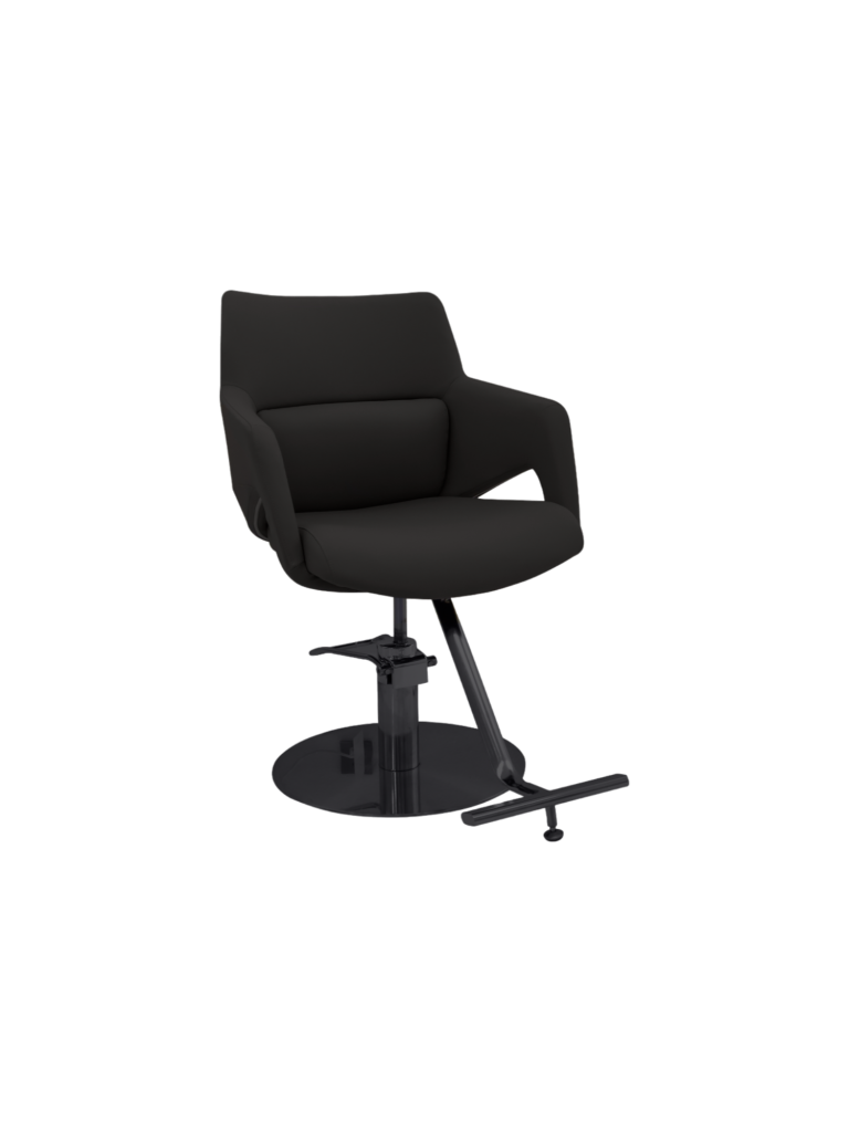 Beauty Plus Professional Cessnock Salon Chair