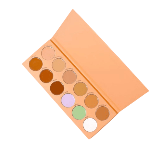 Buff Browz X Bella Beauty Pro - Bare Necessities Palette