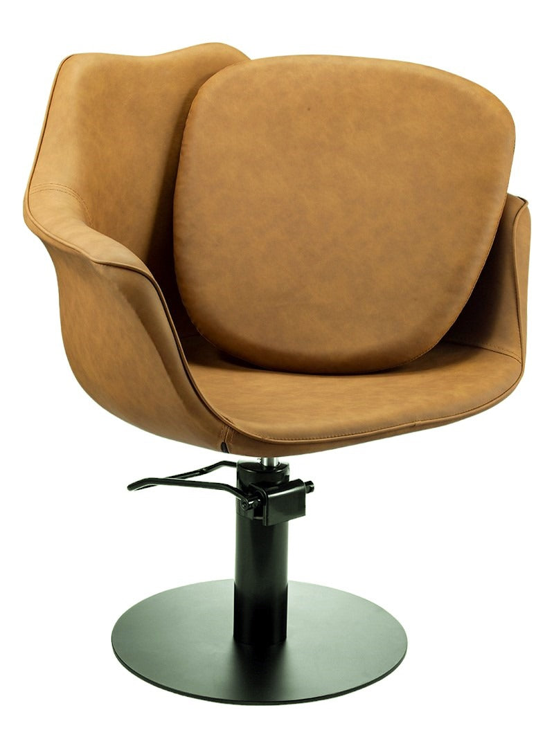 Beauty Plus Professional Cronulla Salon Chair Tan