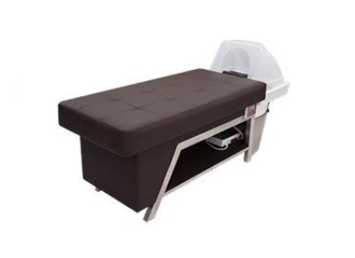 Beauty Plus Hair SpaShampoo Unit