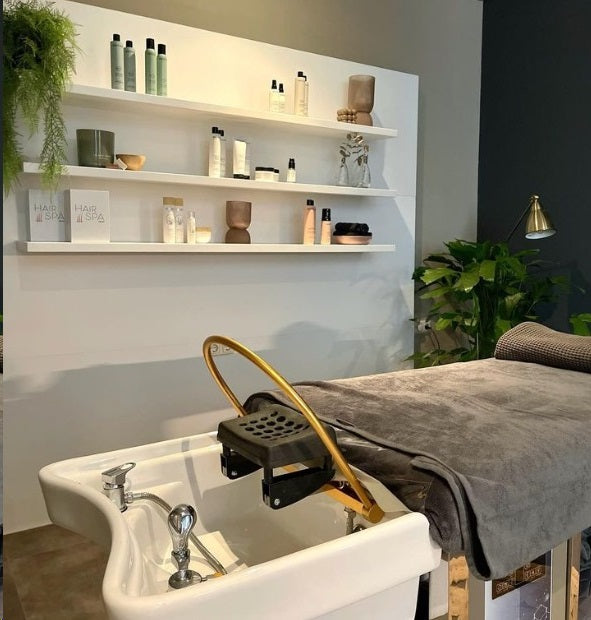 Beauty Plus Hair SpaShampoo Unit