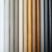 Color Swatches