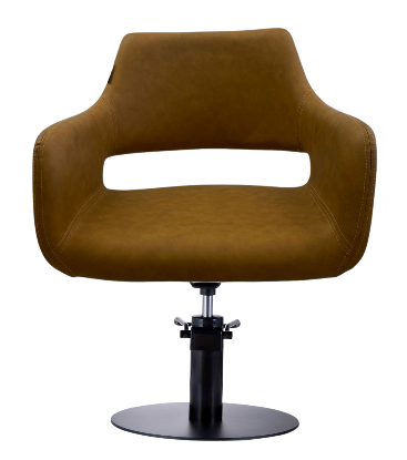 Beauty Plus Mudgee Professional Salon Chair – Tan