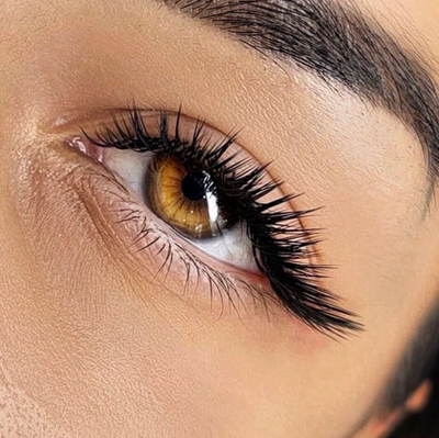 Lashes