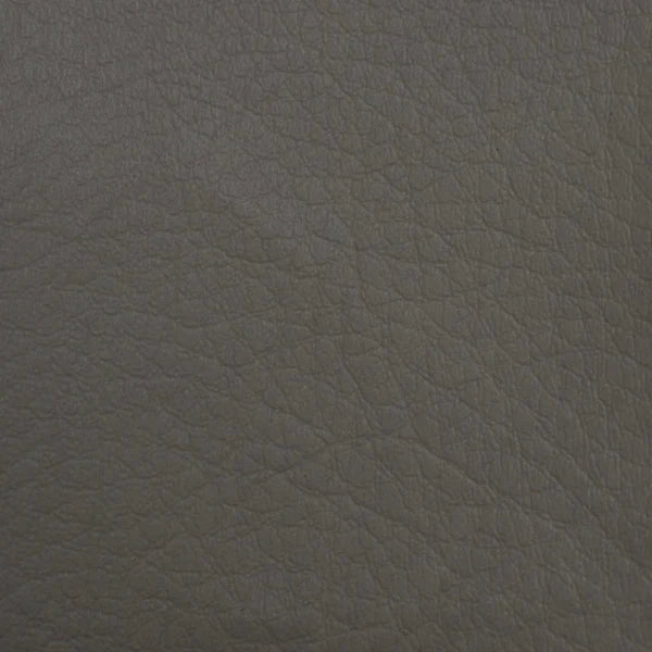 Color Swatches