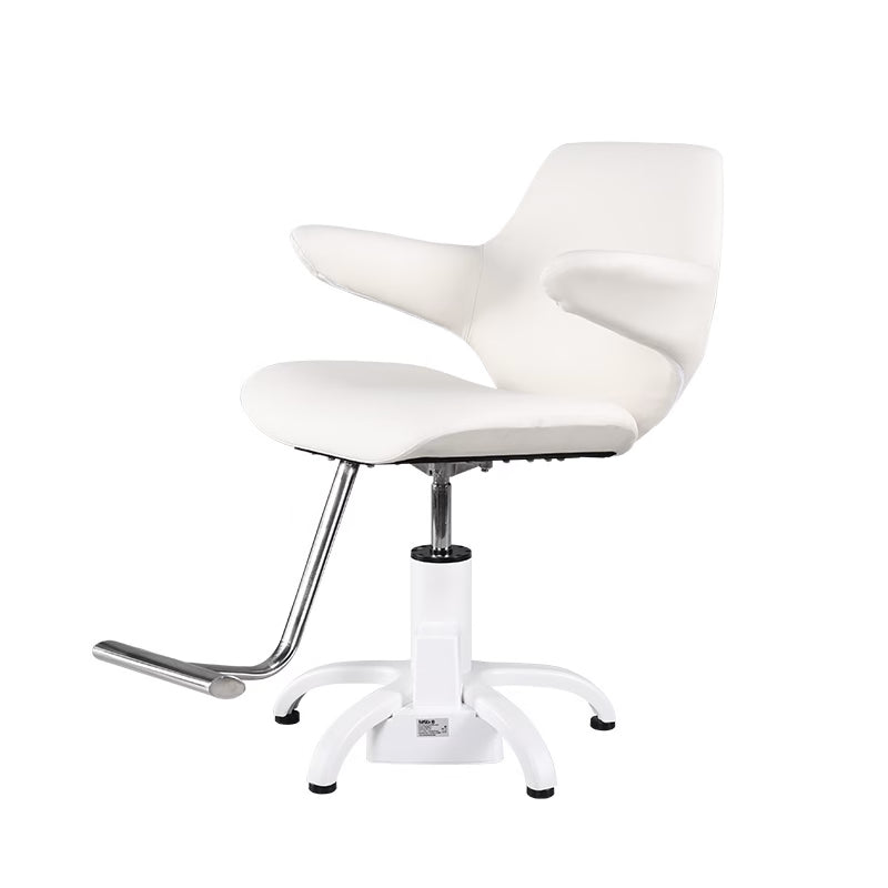 Electric Styling Chair Pre-order