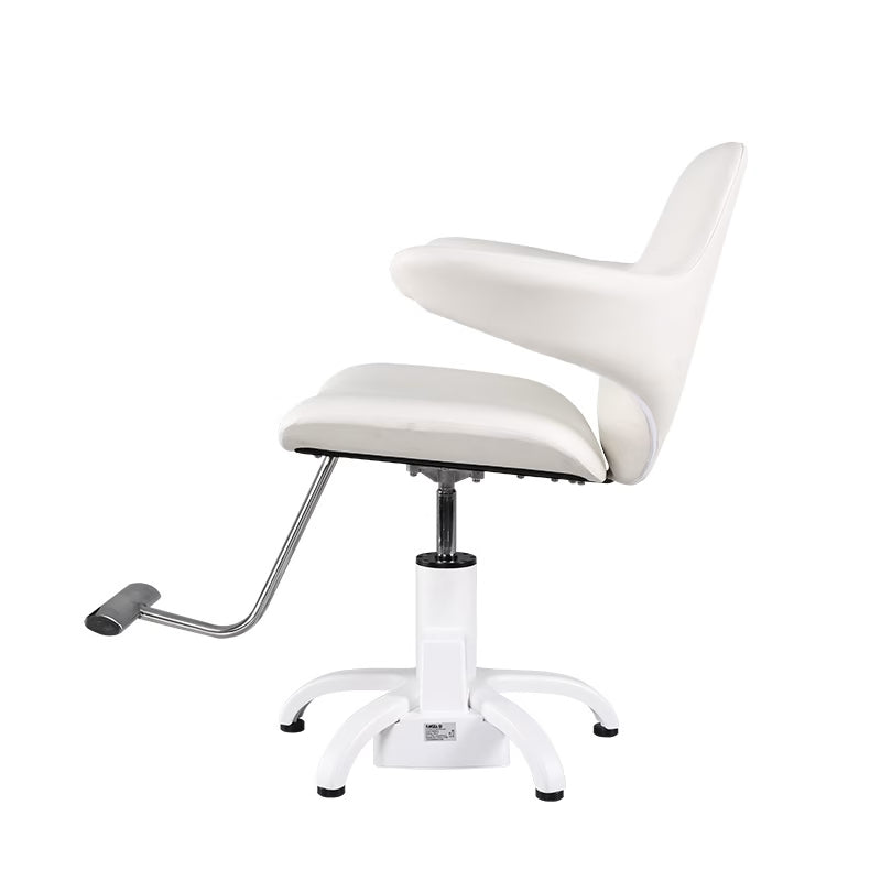Electric Styling Chair Pre-order