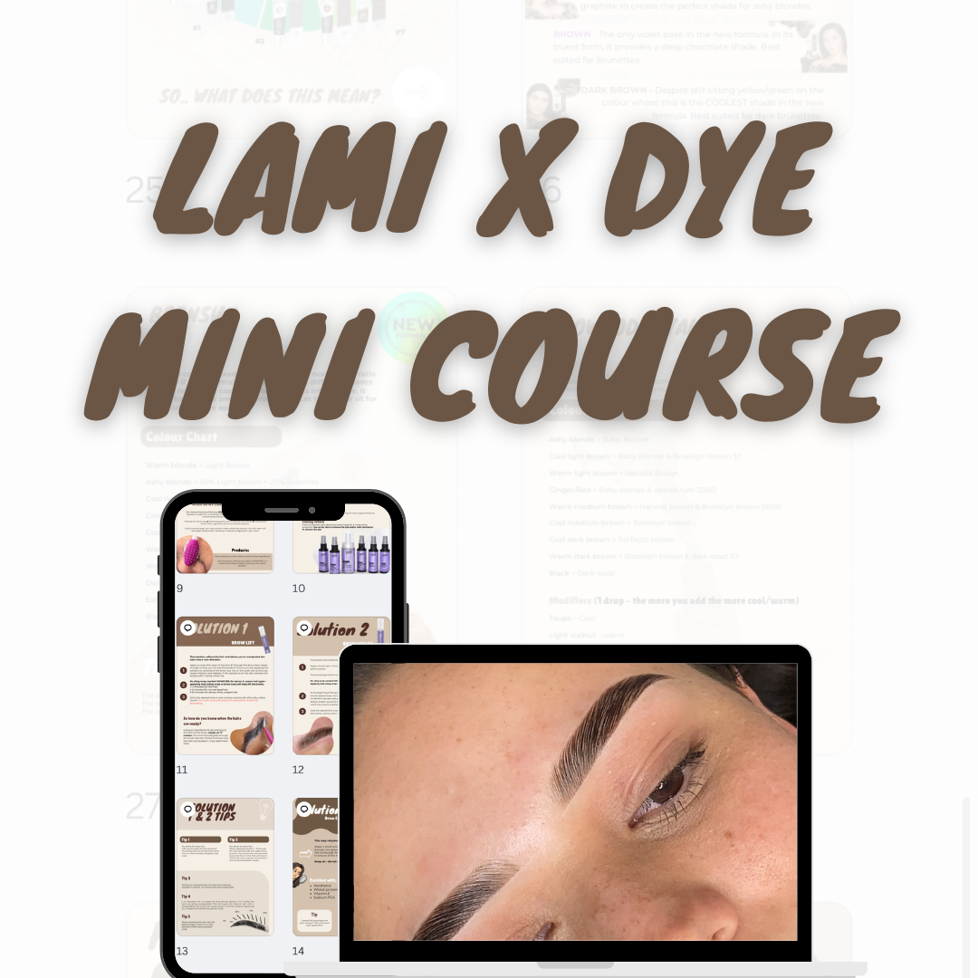 Lamination X Dye Mini Course
