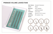 Blinc - 5d - 9mm - 0.07 - C - Premade Volume Lashes