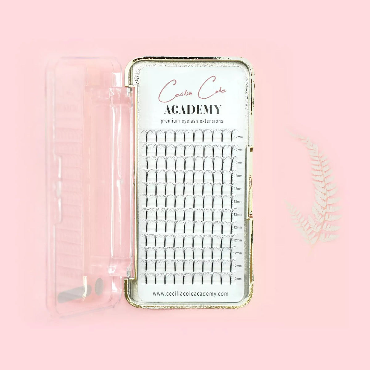 5d Premade Fan Lashes