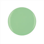 Gelish Dip Mint Chocolate Chip 105g