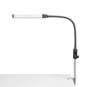 Glamcor - Mono Light