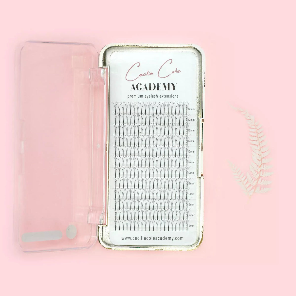 4d Premade Fan Lashes