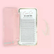 4d Premade Fan Lashes