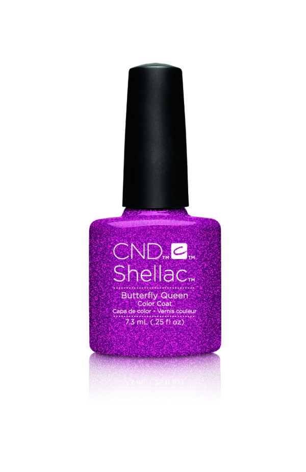 Shellac Butterfly Queen Shellac2EA5LR