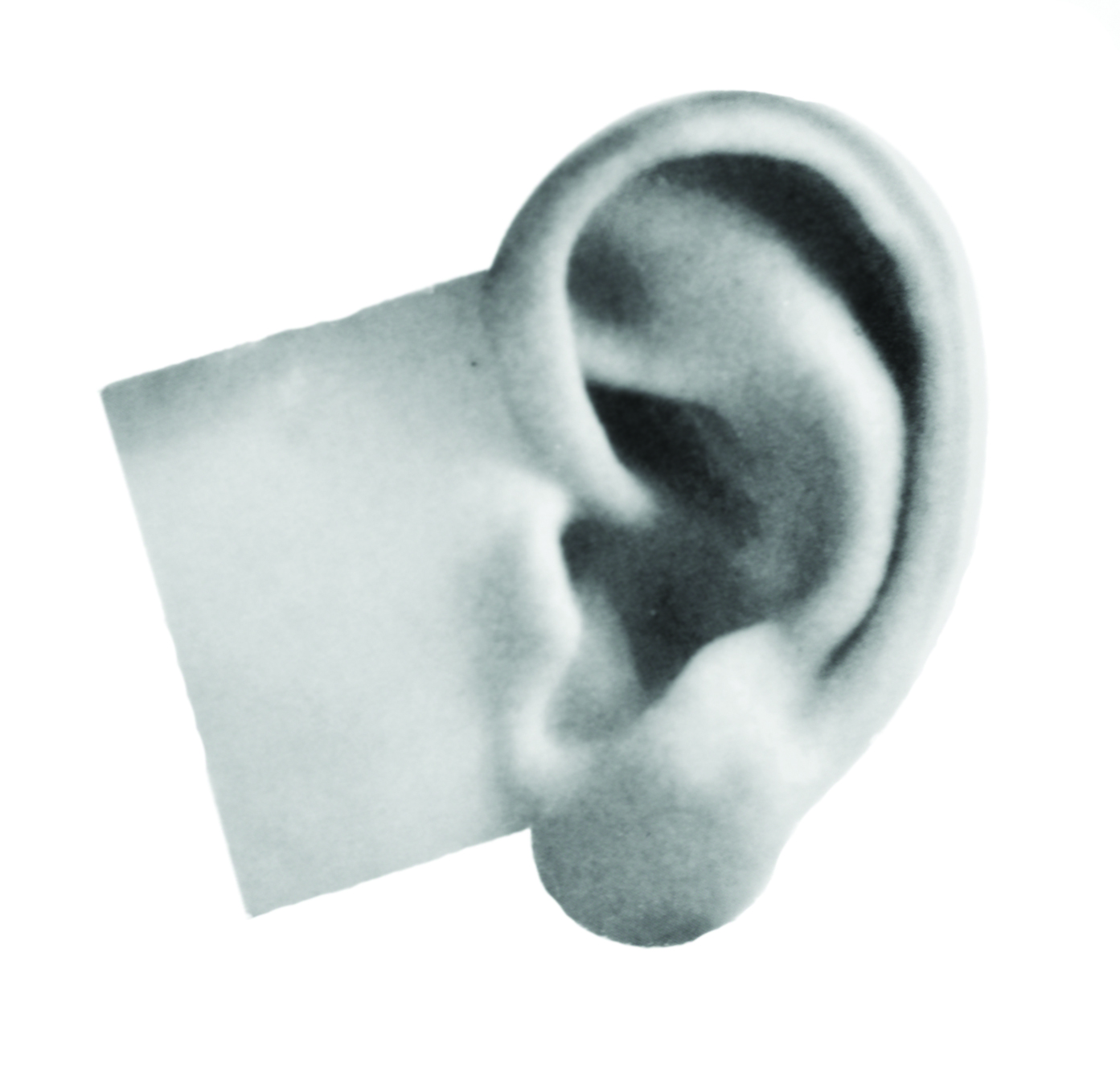 Caflon Practice Ear